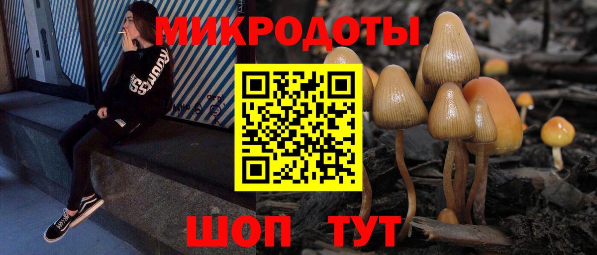 Светлоград  Галлюциногенные грибы мухоморы  Вход с VPN 